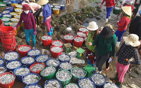 Người khôi phục nghề nước mắm ở cửa biển Sa Cần
