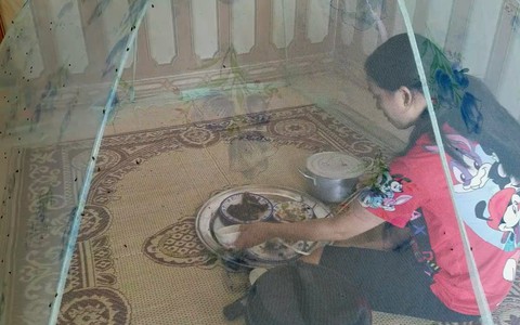 Công ty dùng phân tươi trồng cỏ, dân phải mắc màn ăn cơm để 'trốn ruồi'