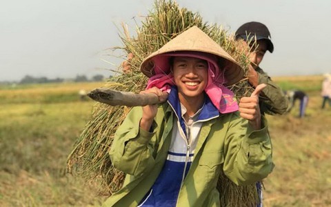Cả lớp ra đồng gặt lúa giúp bạn, phụ huynh cũng góp tay
