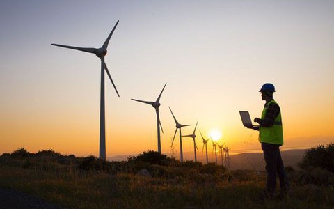 Ông Trump công kích điện gió, tuyên bố turbine gió có thể gây ung thư