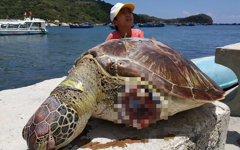 Năm 2019 rồi, quán xá đầy đường mà sao gặp con gì cũng ăn