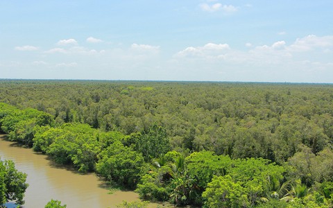 'Hai lúa' giữ rừng thiêng