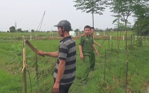 Tạm giữ nghi phạm chặt phá 141 cây gỗ xoan, xà cừ để trả thù cá nhân