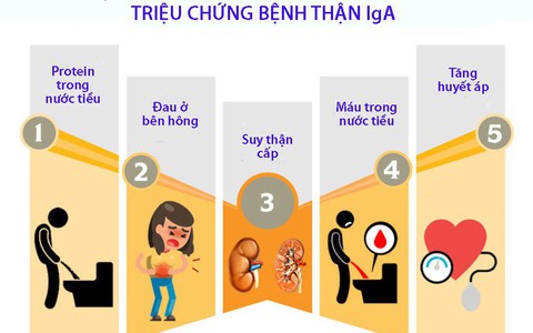 Bệnh thận IgA