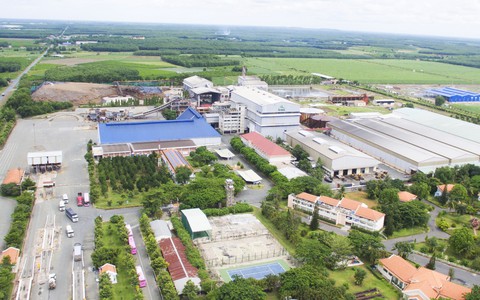 SBT chi trả cổ tức bằng tiền mặt 8%