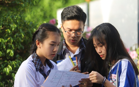 Học phổ thông hay 'luyện gà' vào đại học?