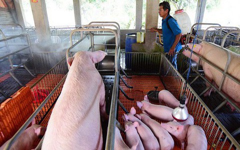 Dịch tả, điện và xăng dầu góp phần làm tăng CPI tăng 0,18%