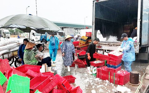 Nghệ An cấm biển từ 5h ngày 29-8 để đối phó với bão số 4