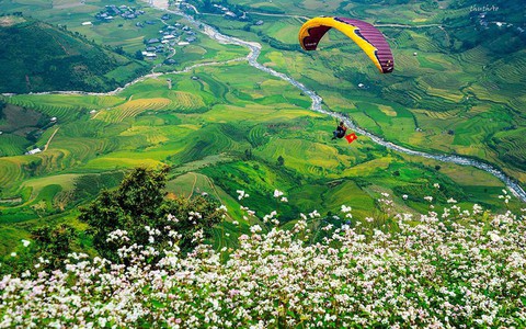 'Bay trên mùa vàng 2019' - Festival dù lượn được mong chờ sắp diễn ra