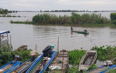 Nước lũ trên sông Tiền đã vượt báo động 1
