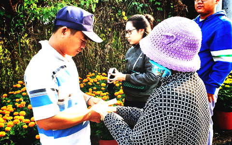 Những chậu hoa và sự tử tế
