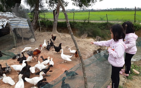 Dẹp tiệc tùng nấu nướng, dẫn con ra đồng
