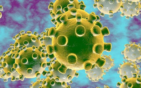 Nhiều tỉnh, thành bác tin có ca nhiễm virus corona như trên mạng đăng tải