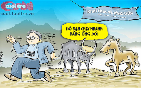 Đàn bò tót lai và tiền ngân sách