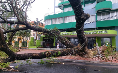 Bộ trưởng Nguyễn Xuân Cường: Ít thương vong nhờ chủ động di dời dân