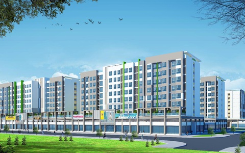 D2D triển khai nhiều dự án mới