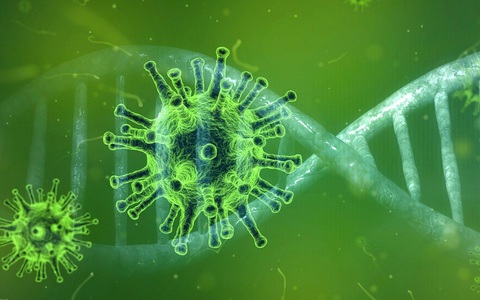 Phát hiện cách virus COVID-19 'gấp origami', mở ra hướng điều trị mới