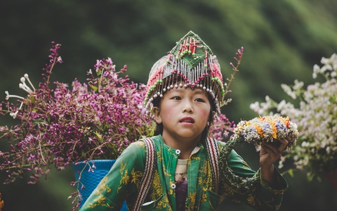 'Phát triển thiếu bền vững, Sa Pa đang mất dần vẻ đẹp vượt thời gian'