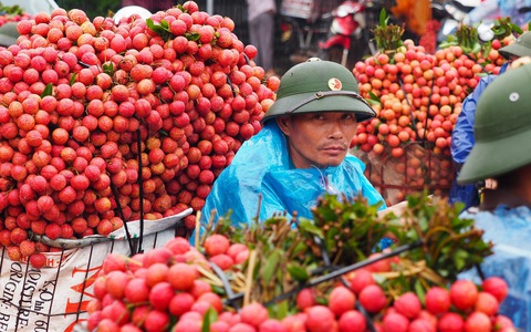 Trung Quốc không còn là thị trường xuất khẩu nông sản lớn nhất của Việt Nam