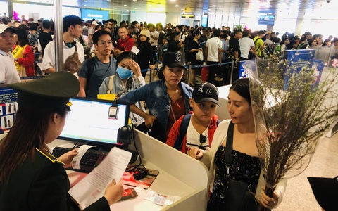 495.000 đồng/'vé máy bay' tết cho đào, mai ngược xuôi Nam Bắc