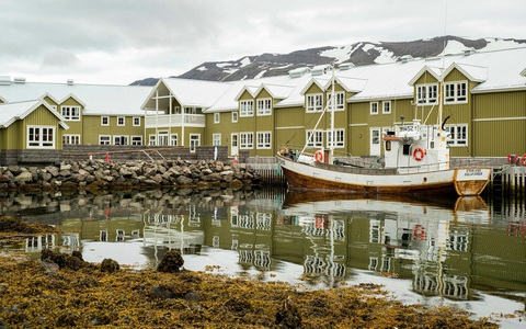 Iceland - Quốc gia chỉ có một con muỗi