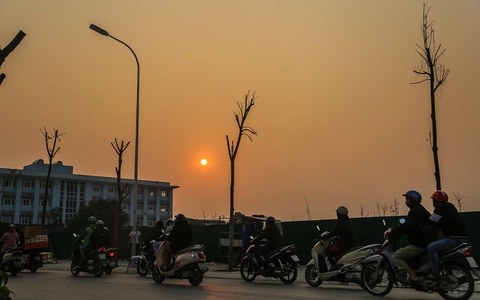 Hàng trăm cây sấu chết khô thảm thương trên đường mới mở ở Hà Nội