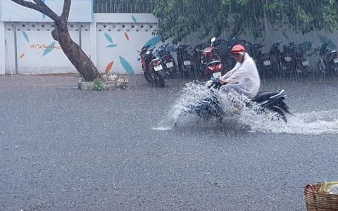 Cà Mau 'mưa vàng', ngập nửa bánh xe ngay giữa mùa khô