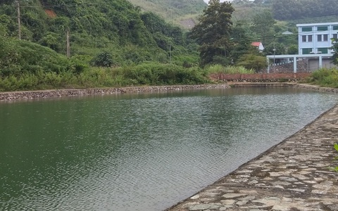 Kiến nghị Thủ tướng chỉ đạo Nhà máy Sông Đà sớm chặn nguy cơ nước nhiễm bẩn