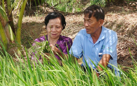 Con cái hòa thuận, cha mẹ ngủ rất ngon
