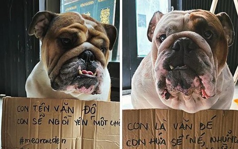 'Truyền may mắn' với phong trào 'Tên hay dịch bay' phủ sóng mạng xã hội