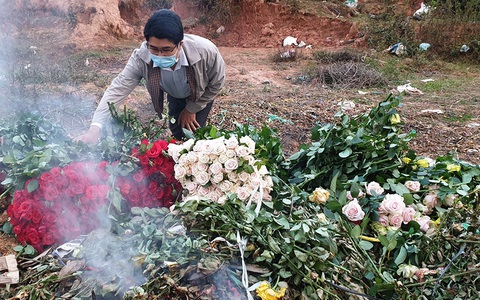 Dân trồng hoa Đà Lạt mời mọi người... cắt miễn phí
