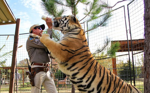 Tiger King - Vua hổ: Lật tẩy thế giới của những tay nuôi thú
