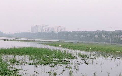 Hà Nội tiếp tục mở bán nhà ở xã hội dù nhiều dự án bị 'ế'