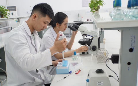 Đại học Quốc tế Hồng Bàng tuyển sinh 16 ngành dạy hoàn toàn bằng tiếng Anh
