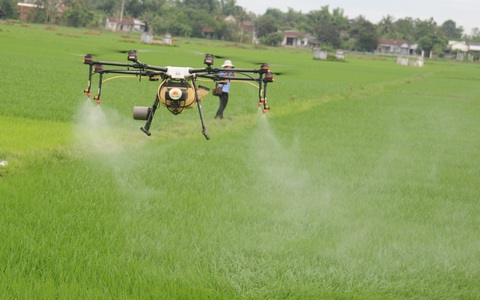 Nông dân Quảng Nam thích thú xem thiết bị bay làm ruộng
