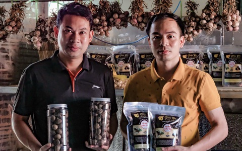 Rủ nhau làm lò ủ tỏi đen, thơm lừng cả một vùng