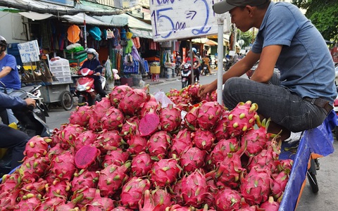 'Chưa bao giờ chán và sợ thanh long như bây giờ'