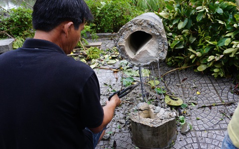 EVNCPC: 'Nhiều cột điện ở Huế gãy đổ trong bão do cây ngã đè'