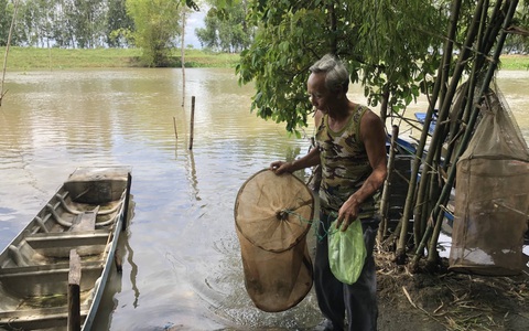Đỏ mắt ngóng mùa cá