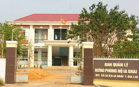 Để mất hơn 360ha rừng trong gần 20 năm, 2 đời trưởng ban quản lý rừng bị khởi tố