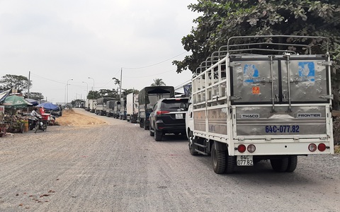 Phà kết nối Vĩnh Long và Bến Tre nhộn nhịp, bắt đầu ùn ứ