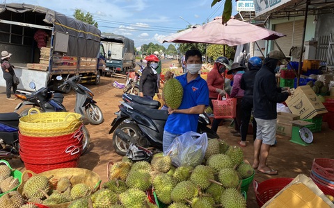 Nông dân ngại đầu tư vụ mới