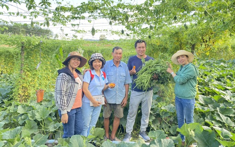 Bỏ phố về vườn - Kỳ 1: Trở về theo 'tiếng gọi nơi hoang dã'