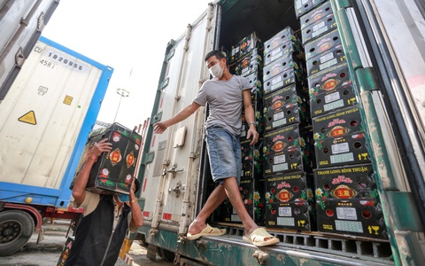Trung Quốc dừng nhập thanh long, các tỉnh rơi vào tình thế 'nước sôi lửa bỏng'