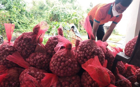 Đưa hành tím Sóc Trăng, vải thiều Thanh Hà lên sàn thương mại điện tử