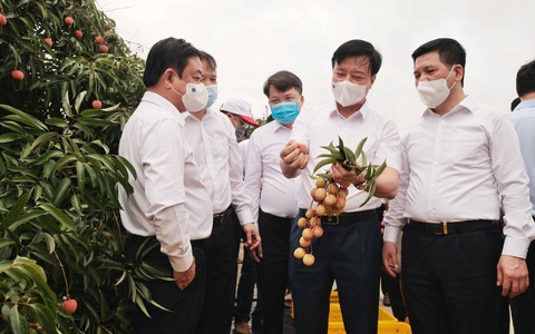 Bộ trưởng Lê Minh Hoan: 'Vải em là vải vườn nhà. Em là con gái Thanh Hà xứ Đông'