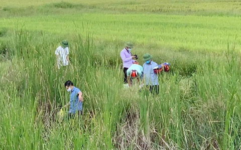 Điều tra vụ bé gái 6 tuổi chết gần đường tàu và người phụ nữ bỏ chạy trong hoảng loạn
