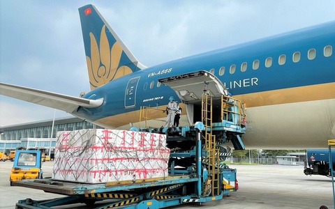 Vắng khách do dịch COVID-19, hàng không xoay xở bằng chở hàng hóa