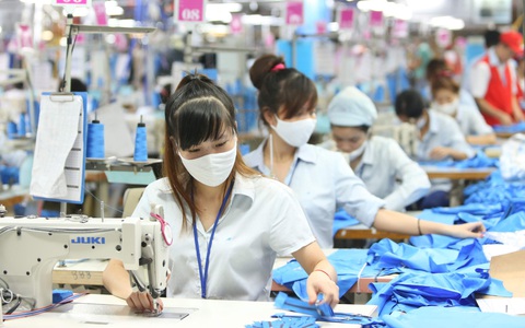 Kiến nghị hỗ trợ lao động chưa ký hợp đồng, chưa đóng bảo hiểm như lao động tự do