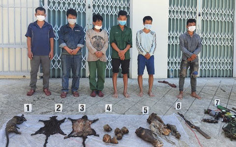 6 linh trưởng nghi là voọc chà vá chân nâu bị giết hại dã man giữa rừng